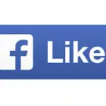 Privacy Policy 1 facebook like button